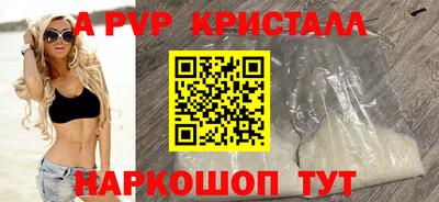 a pvp Гатчина