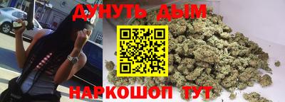 a pvp Гатчина