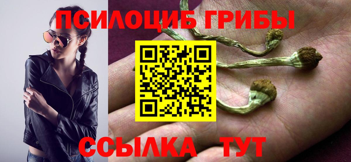 Псилоцибиновые грибы мицелий  Вход с VPN  купить  цена  Моздок  Галлюциногенные грибы Magic Shrooms 