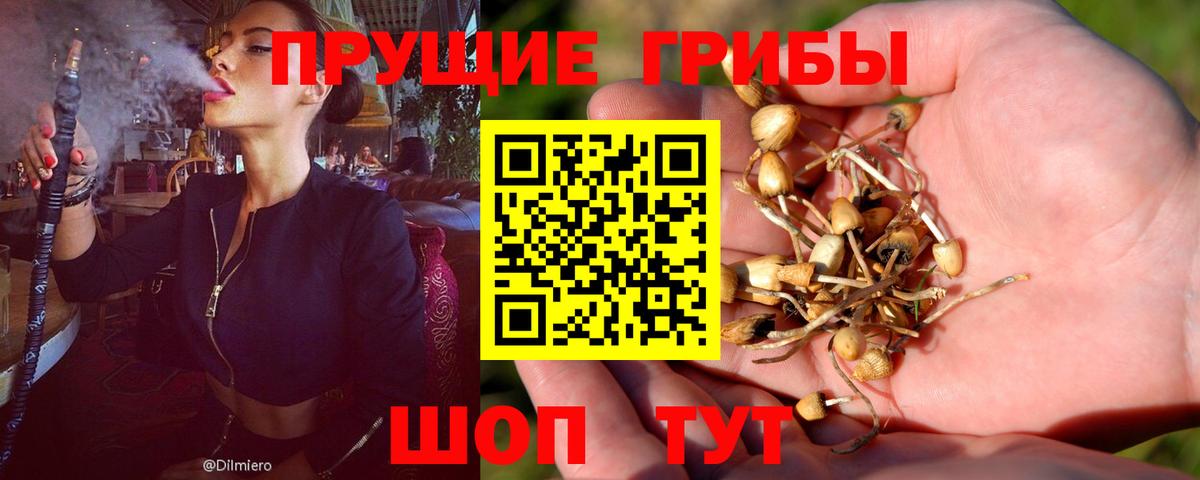 Псилоцибиновые грибы ЛСД Моздок